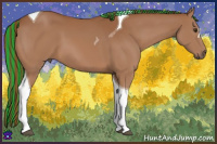 Horse Color:Painted Chestnut Tobiano 
