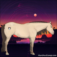 Horse Color:Amber Champagne Dun 