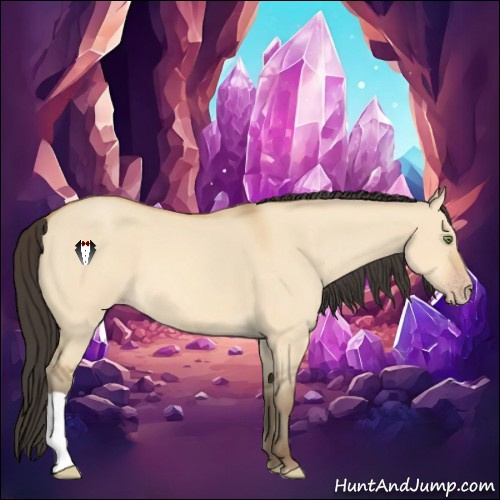 Horse Color:Amber Champagne Dun 