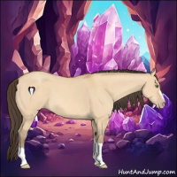 Horse Color:Amber Champagne Dun 