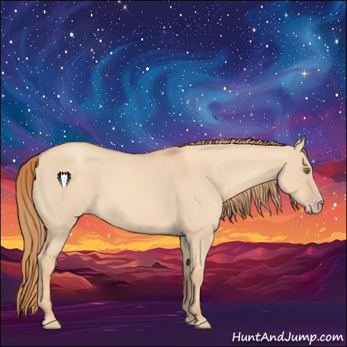 Horse Color:Gold Champagne Dun 