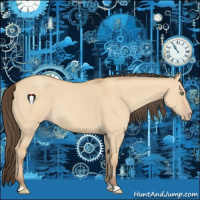 Horse Color:Amber Champagne Dun 