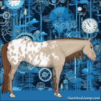 Horse Color:Classic Champagne Dun Appaloosa 