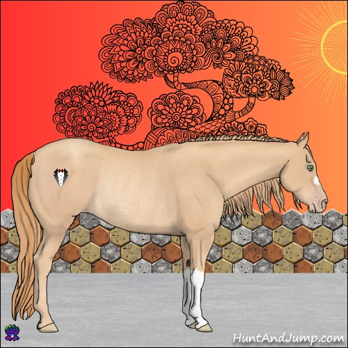 Horse Color:Gold Champagne Rabicano 