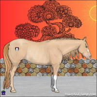 Horse Color:Gold Champagne Rabicano 