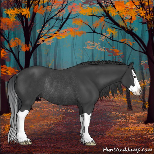 Horse Color:Black Splash Rabicano 