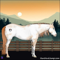 Horse Color:Amber Champagne Ice Pearl Frame Rabicano 