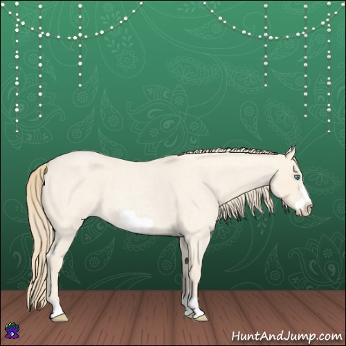 Horse Color:Perlino Roan Frame 