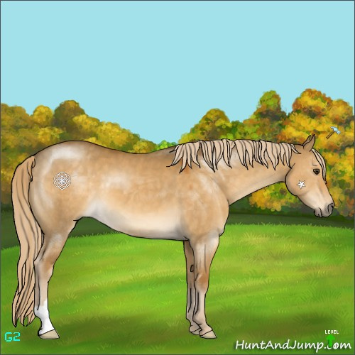 Horse Color:Chocolate Palomino Dun 
