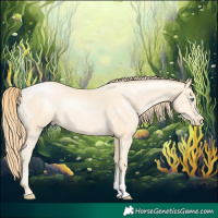 Horse Color:Buckskin Pearl Sabino 