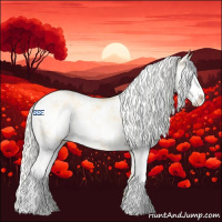 Horse Color:Palomino Pearl Sabino 