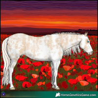 Horse Color:Palomino Pearl Sabino 