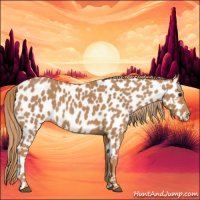 Horse Color:Chestnut Near Leopard 