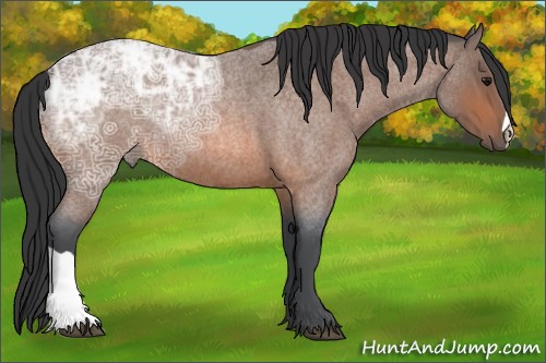 Horse Color:Bay Ice Roan 