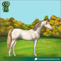 Horse Color:Buckskin Pearl Mushroom Sabino