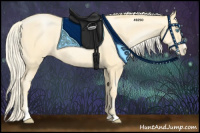 Horse Color:Palomino Pearl Sabino 