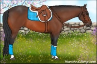 Horse Color:Bay Tobiano Rabicano 