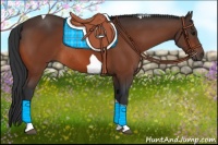 Horse Color:Bay Tobiano Rabicano 