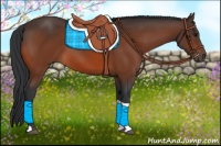 Horse Color:Bay Tobiano Rabicano 