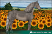 Horse Color:Silver Black 
