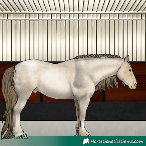 Horse Color:Smoky Blue Roan Pearl 