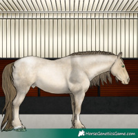 Horse Color:Smoky Blue Roan Pearl 