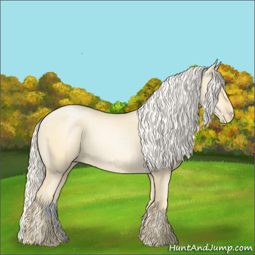 Horse Color:Palomino Pearl Sabino 