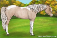 Horse Color:Silver Blue Roan Pearl Tobiano Frame 