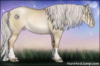 Horse Color:Silver Buckskin Pearl Dun Sabino Tobiano