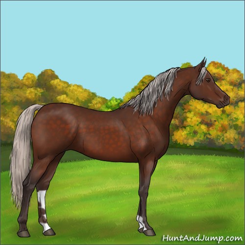 Horse Color:Silver Brown 