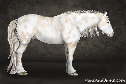 Horse Color:Chocolate Palomino Pearl Dun Sabino Tobiano Near Leopard 