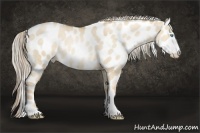 Horse Color:Chocolate Palomino Pearl Dun Sabino Tobiano Near Leopard 