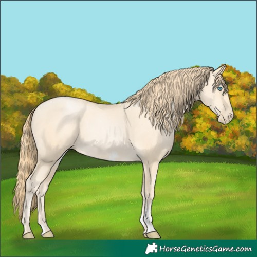 Horse Color:Buckskin Pearl Sabino 