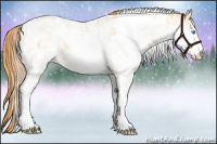 Horse Color:Buckskin Pearl Sabino 