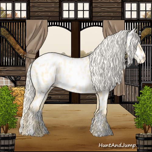 Horse Color:Palomino Pearl Sabino Appaloosa 