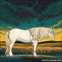 Horse Color:Buckskin Pearl Sabino Varnish 
