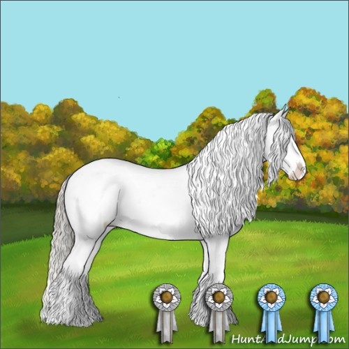 Horse Color:Chestnut Mushroom Tobiano Appaloosa 