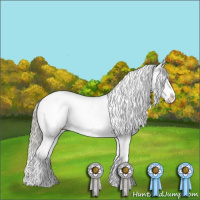 Horse Color:Chestnut Mushroom Tobiano Appaloosa 