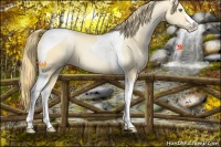 Horse Color:Smoky Black Pearl Sabino Tobiano 