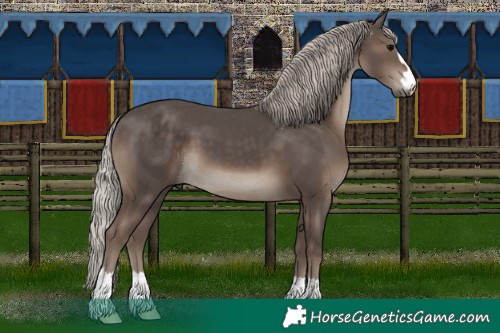 Horse Color:Silver Black 