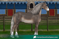 Horse Color:Silver Black