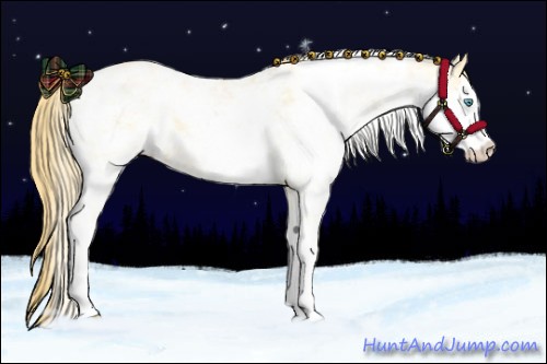 Horse Color:Buckskin Pearl Sabino