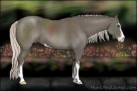 Horse Color:Silver Black Sabino