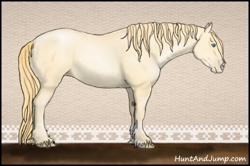 Horse Color:Buckskin Pearl Sabino 