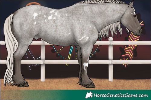 Horse Color:White Spotted Silver Blue Roan