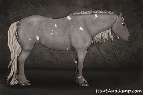 Horse Color:White Spotted Silver Blue Roan 