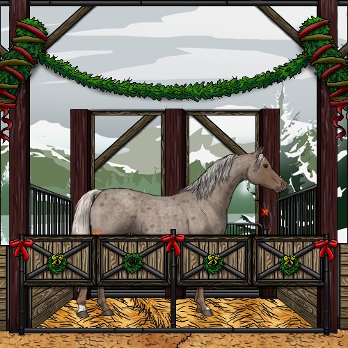 Horse Color:Silver Blue Roan