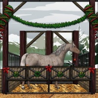 Horse Color:Silver Blue Roan 