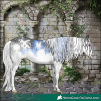 Horse Color:White Spotted Silver Black Chinchilla Splash 