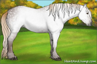 Horse Color:Gray Chestnut 